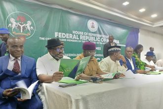 Constitution Review: South-South Stakeholders Demand New States and Fairness in National Governance