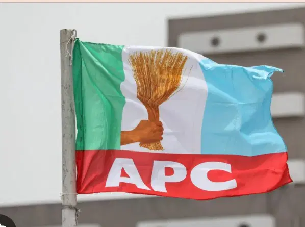 APC NEC Meeting Set for 24 July: What’s at Stake for Nigeria’s Ruling Party