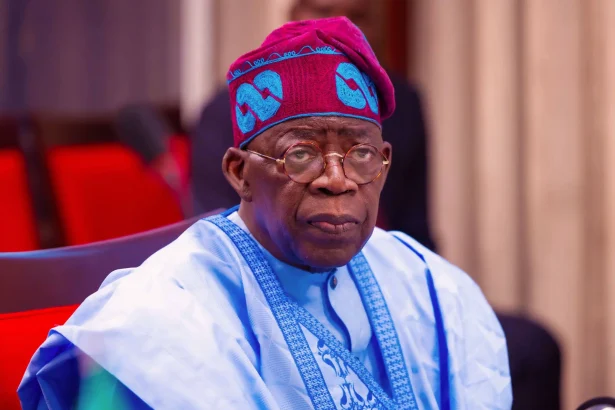 Global Debt Woes: Nigeria Charts a Contrasting Course