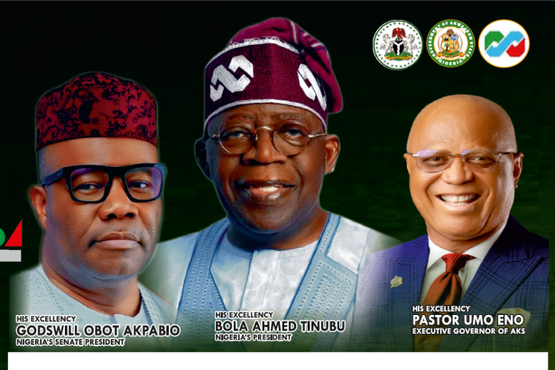 Renewed Hope, Beyond The Scalpel: Nigeria At 65, Nigeria’s Surgical Path to Economic Health