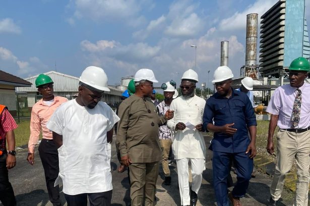 UNDERSTANDING THE ELECTRICITY DISTRIBUTION ECOSYSTEM FROM THE IBOM POWER COMPANY PERSPECTIVE