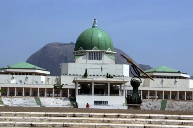 NATIONAL ASSEMBLY PROPOSES SWEEPING CHANGES IN CONSTITUTIONAL AMENDMENTS