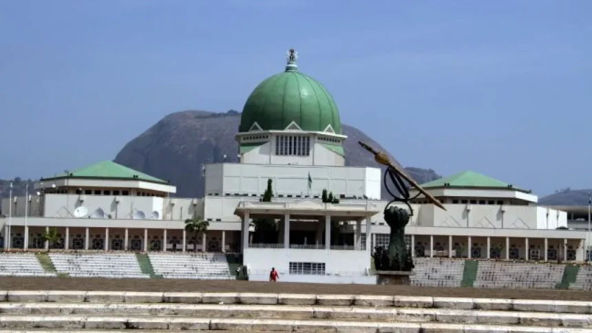 NATIONAL ASSEMBLY PROPOSES SWEEPING CHANGES IN CONSTITUTIONAL AMENDMENTS